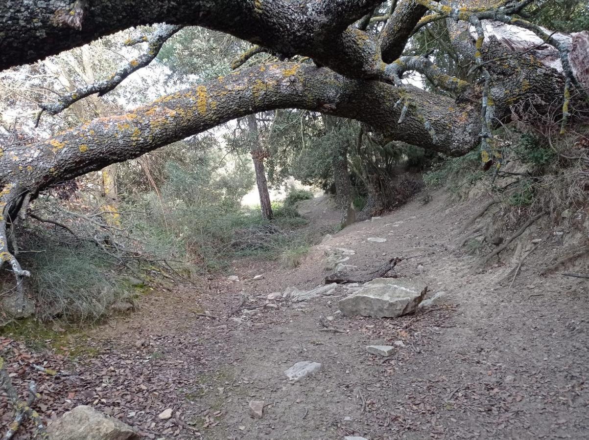 Apartamentos Casa Rural El Ventanico Olocau del Rey 外观 照片